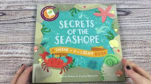 A Look Inside The Secrets Of The Seashore Shine A Light Book Youtube