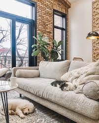Michelle Sturgis On Instagram Throwing It Back To Dora S First Day At Home For Nationalloveyourpetday Living Room Designs Furniture Living Room Furniture