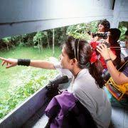 Book tickets now on 12goasia! 3d2n Full Board Ex Kl Taman Negara