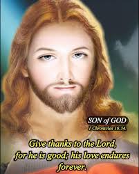 🙏✝️🌹🕊️Mary, Our merciful mother of Christ, pray for us!