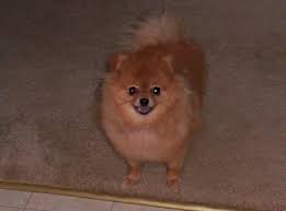 You're ready to take on do it yourself pest control! A E S Do It Yourself Pest Control Home Facebook