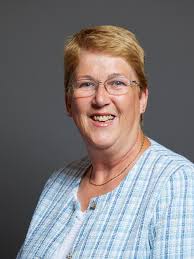 Ann Davies (politician)