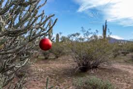 We did not find results for: Winter Decoration Red Cactus Desert Christmas Arizona Ornament Saguaro Southwest Stock Photo 70a3bba8 7b85 4044 8882 Ccf3143bee7a