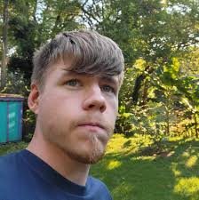 Sabrina Carpenter in Sonic Art Style