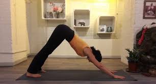 Asanas collectively constitute the physical aspect of yoga and are known to have immense physical and mental health benefits. L Ashtanga Vinyasa Yoga Pas A Pas Yoga
