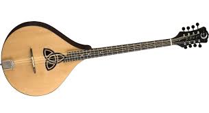 'traditional' irish music comes in many forms. 6 Popular Trad Irish Musical Instruments Irish Musical Instruments Music Tattoos Music Instruments