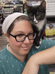 Adopt a friendly cat in Riverview