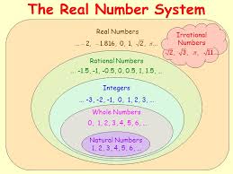1 Which Of The Following Is True A Every | Studyx
