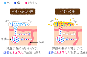 夏のベタつき顔の原因と対策 解消法 皮脂 美容 夏
