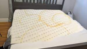 Maybe you would like to learn more about one of these? How To Clean Urine Out Of Memory Foam Mattress Youtube