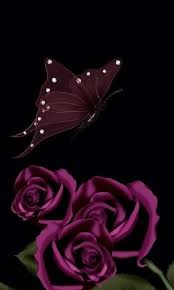 Download 480x800 Dark Roses And Butterfly Cell Phone Wallpaper Category Art Graphics Cellphone Wallpaper Rose Wallpaper Butterfly Wallpaper