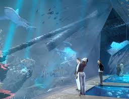 Tickets, tours, hours, address, marinemuseum reviews frequently asked questions about marinemuseum. Portico Group Korea National Marine Museum