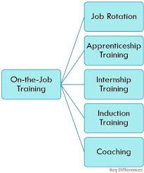 An internship is a period of work experience offered by an organization for a limited period of time. Difference Between Training And Internship With Training Methods Emerging Trends And Comparison Chart Key Differences