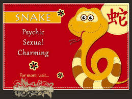 Chinese Zodiac Snake Year Of The Snake Funny Horoscopes Funny Zodiac Signs Chinese Zodiac Snake Chinese Zodiac Zodiac Signs Funny