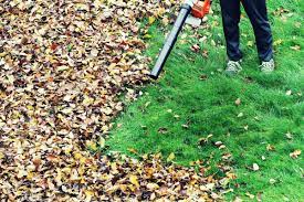 2021 Leaf Removal Costs Yard Clean Up Costs Fall Spring