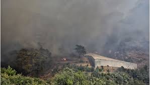 Amanos dağları'nda iki gündür yangınla mücadele var. Mersin De Orman Yangini Ntv