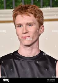 Westwood, USA. 12th Nov, 2023. Luther Ford arriving to the Los Angeles  premiere of Part 1 of the Final Season of 'THE CROWN' held at the Westwood  Regency Village Theatre