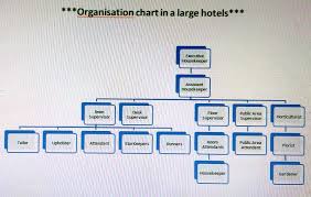 hkfirstsem organization chart of housekeeping department