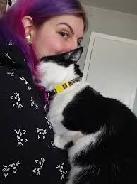 Has anyone lost this cat? No collar. Temple @ Kegley and West Ridge.