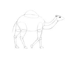 Now, let us see how apache camel can come to your rescue to provide an elegant, maintainable, scalable solution architecture for the described before we proceed with the solution, we need to make a small assumption. How To Draw A Camel