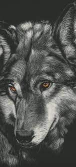 What is a desktop wallpaper? Iphone Xs Max Wallpaper Wolf Find Your Wallpaper Wolf Wallpaper Wallpaper Wolf Horse Wallpaper