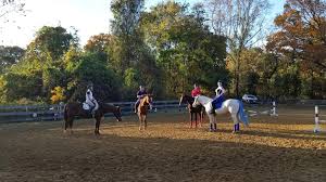 The Benefits Of Taking Group Lessons Group Lesson Lesson Riding Lessons