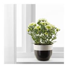 Ikea Us Furniture And Home Furnishings Affordable Home Decor Furniture Decor Ikea