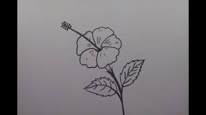 How To Draw A Hibiscus Flower Step By Step Youtube Home » scenes » simple drawings step by step. how to draw a hibiscus flower step by step
