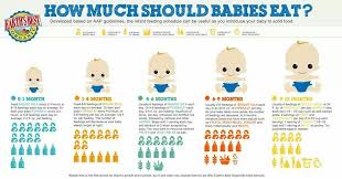 How Much Should Babies Eat Baby Eating Baby Feeding Infant Feeding Guide