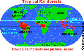 The amount of rainfall a tropical rainforest receives depends mostly on the location of these forests. Where Are Rainforests Enchantedlearning Com