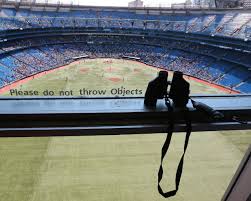 Stadium, arena & sports venue. Bird S Eye View Of Blue Jays From Comfort Of In Stadium Hotel The Star