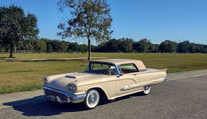 Image result for Tahitian Bronze 1959 Thunderbird