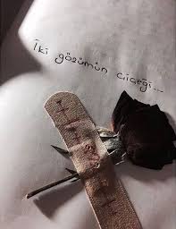 Iki Gozumun Cicegi Sozler Anlamlisozler Guzelsozler Manalisozler Ozlusozler Alinti Alintilar Alintidir Alintisozle Ozlu Sozler Kirik Kalp Guzel Soz