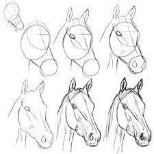 Ik ga jouw echter leren om elk paarden soort te kunnen tekenen. Dieren Tekenen Paarden Zelfkunstmaken Nl