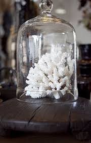 Stylish Sea Coral Decor Ideas Coral Decor Sea Coral Decor Decor