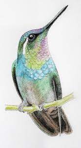 Maybe you would like to learn more about one of these? Hummingbird Colored Drawing Made Of Dots Unique Art Platform Artcosmos