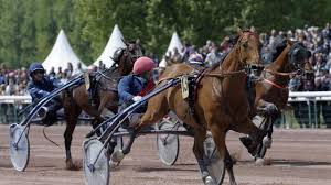 Des citations communistes à faire peur en 2017. Hippisme La Saison Redemarre Plein Pot Avec Un Quinte A L Hippodrome De Caen La Roche Sur Yon Maville Com