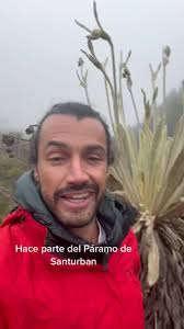 Explora el Páramo del Norte de Santander en Colombia