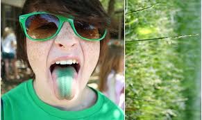 Photography Portfolios