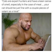 We did not find results for: Cats Can Have A Little Salami Know Your Meme