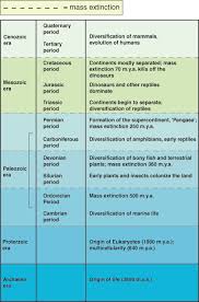 Sparknotes Macroevolution A Brief History Of Life