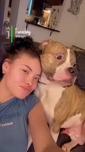 Lost Dog in The Dalles: Ace, a Friendly Jumper Dog, Last Seen