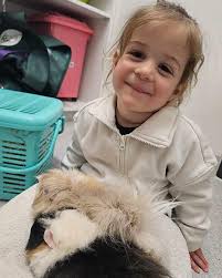 🎥 Channel 7 Dog Of The Week 🐶 Teddy is a 14-year-old Pomeranian who is  looking for a quiet home to spend his twilight years. He is a tiny  gentleman who enjoys