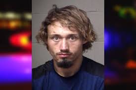 Arthur Casey — Paulding County Jail Bookings