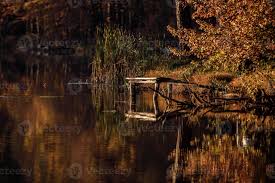 Les produits solubles dans l'eau, les matières actives sont des sels métalliques, parfois en association avec des insecticides Pont En Bois Sur Le Lac Feuilles Flottant Dans L Eau Automne Pont De Rondins Plateforme Pour Pecheurs 2254833 Banque De Photos