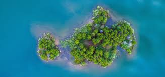 Kristof argues that that stopping global warming should be the paramount struggle of our time(warmer). 5 Ways Our Governments Can Confront Climate Change Interamerican Association For Environmental Defense Aida