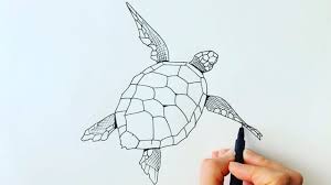 Here presented 60+ baby sea turtle drawing images for free to download, print or share. How To Draw A Turtle Youtube