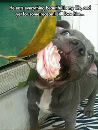 Pin On Funny