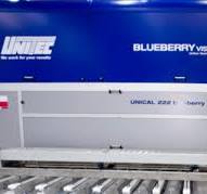 Blueberry Sorting Machines, Grading and Processing Equipment