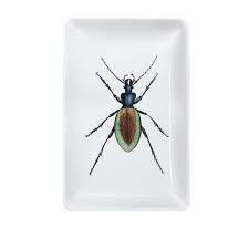 Decoration Design Cadeau Original Et Objets Deco Scarabee Objets Objet Deco